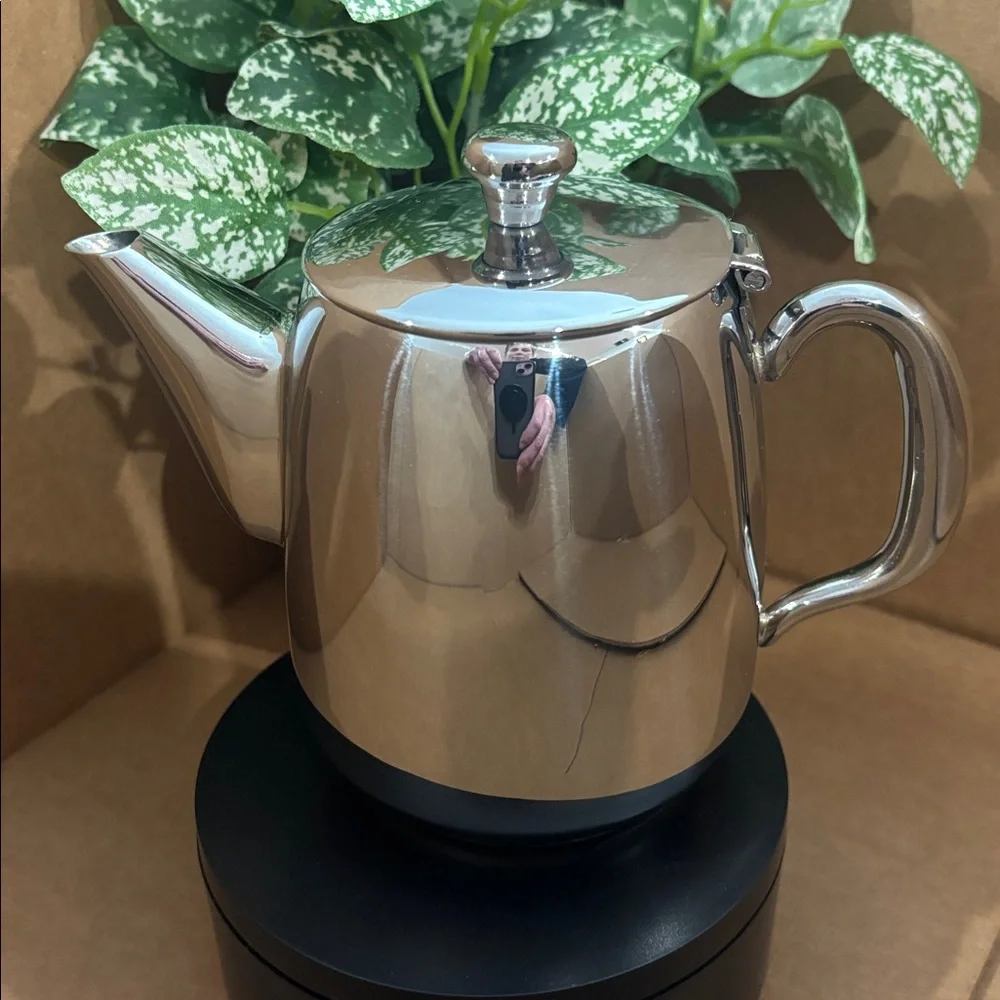 17ounce ~ 18/10 Stainless Steel Teapot ~ Mirrored Finish ~ HIA ~ NEW